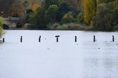 DSC_0549 (Large).JPG